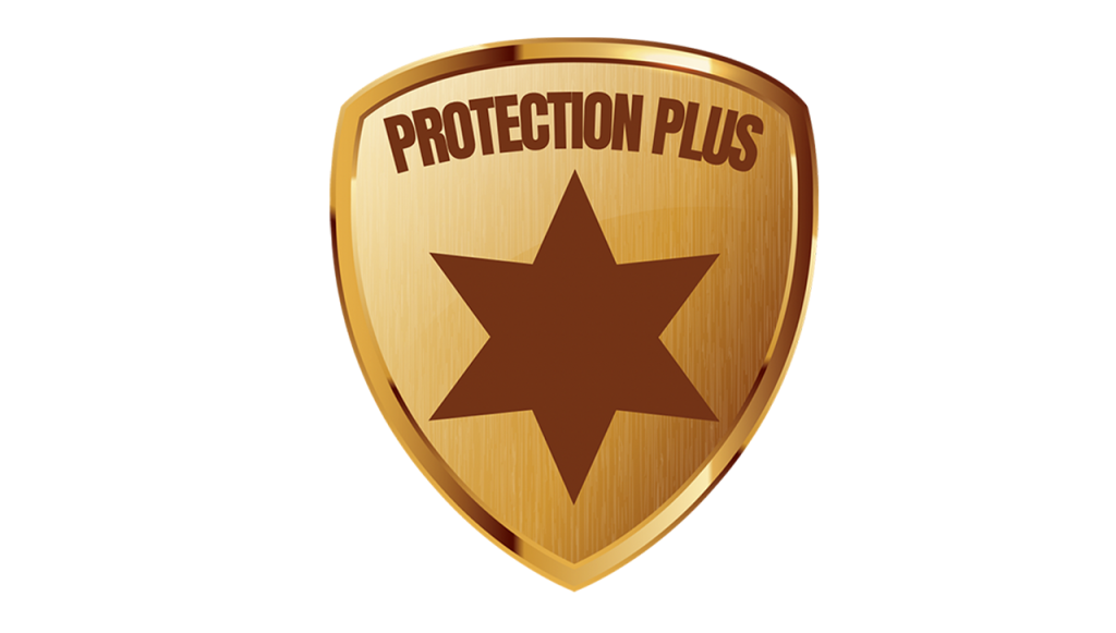 Protection Plus, Inc.